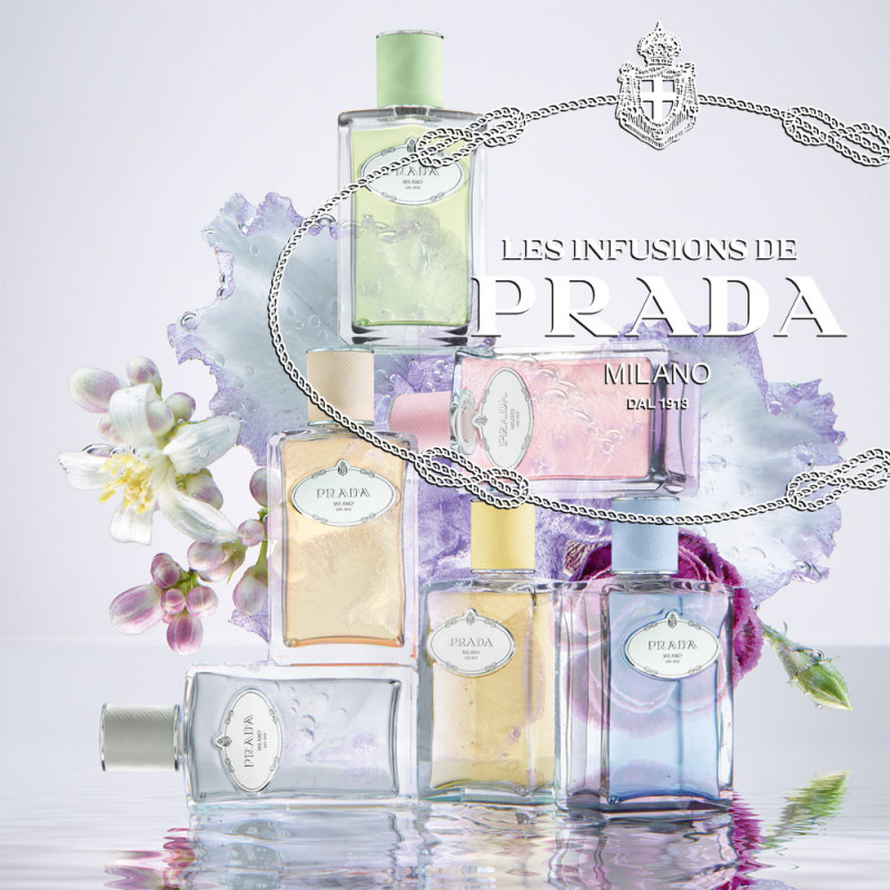 prada iris pallida